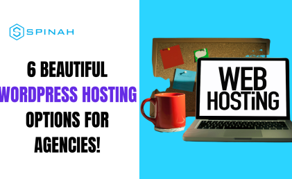 Beyond Ordinary: 6 Beautiful WordPress Hosting Options for Agencies!