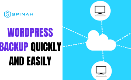 A Guide to Downloading Your WordPress Backup Quickly and Easily